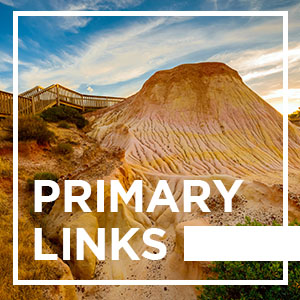 Primary Links - 12 November